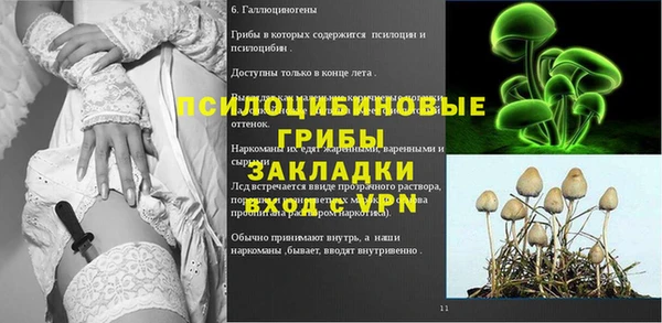 ECSTASY Балабаново